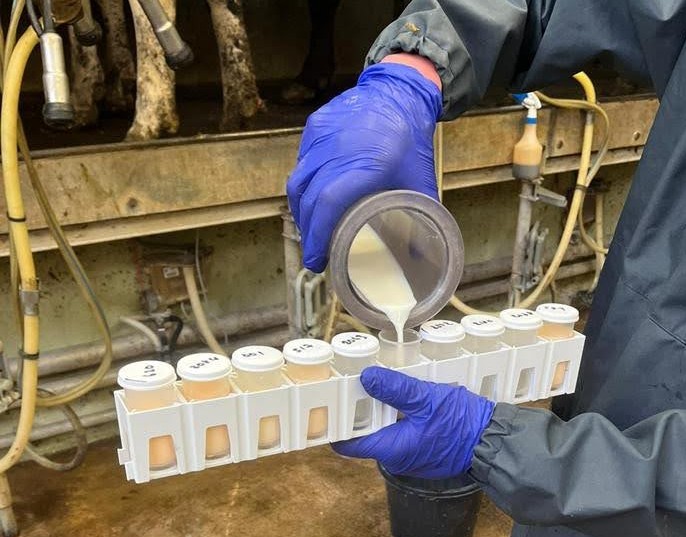 Changing milk recording organisation